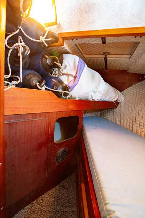 8654790-large.jpg