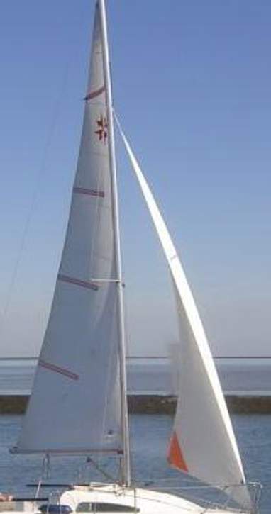 8161911-large.jpg